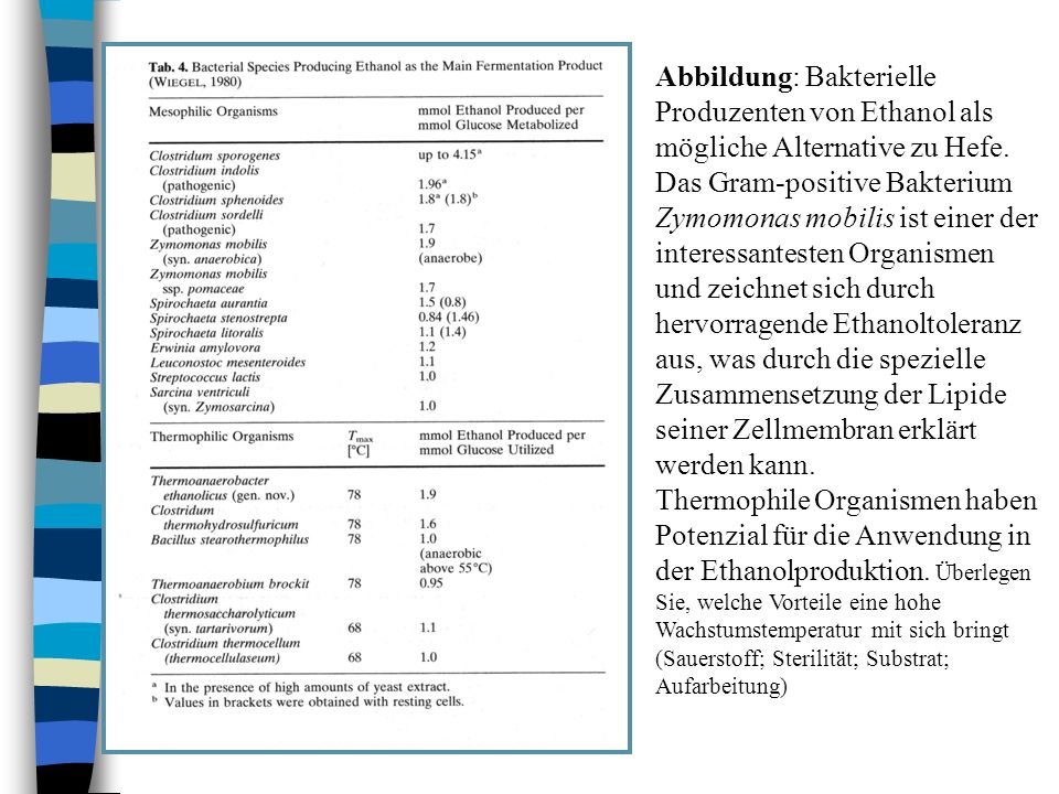 Bakterienwachstum: Eine Bakterienkultur besteht zu Anfang aus Bakterien. Die Anzahl der Bakterien verdoppelt sich jede Stunde. Stelle die Anzahl der Bakterien nach t Stunden als Funktion der .